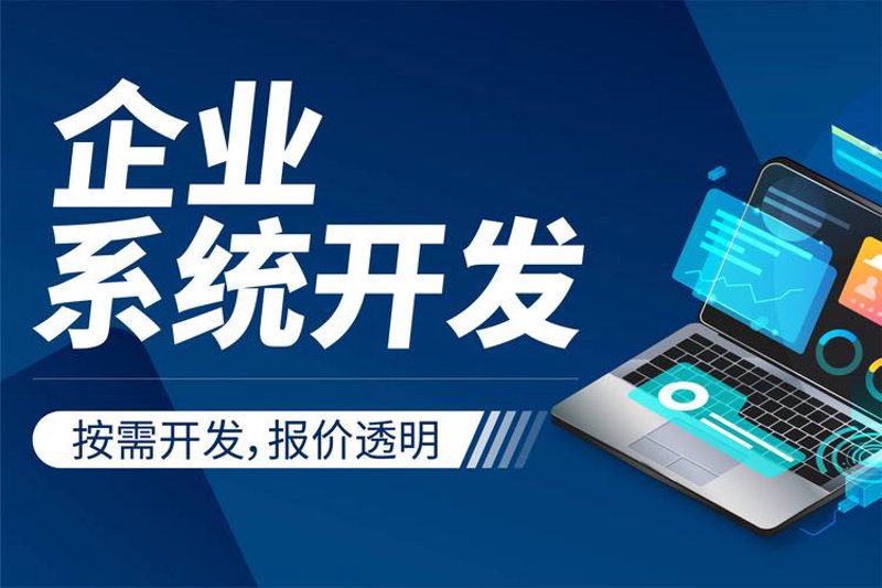 金融软件定制：解锁企业发展的新引擎