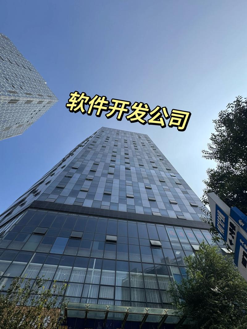 揭秘金融软件定制误区：打造专属利器